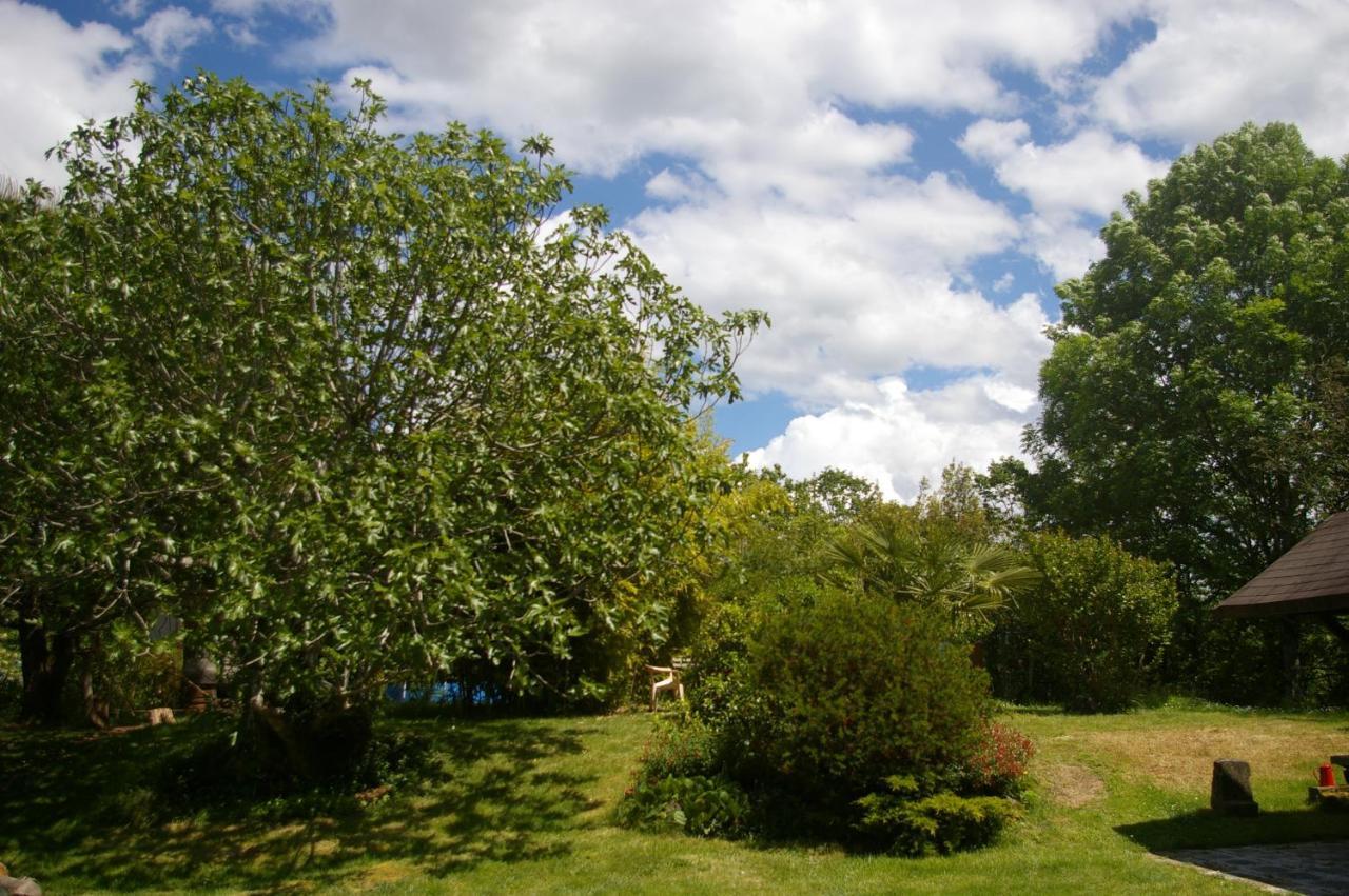 Gite L'Appel De La Foret Betplan Exterior photo